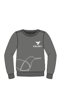 MOLETOM FECHADO CINZA COLIBRI